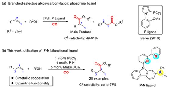 烯烴羰基化反應(yīng)研究獲進(jìn)展